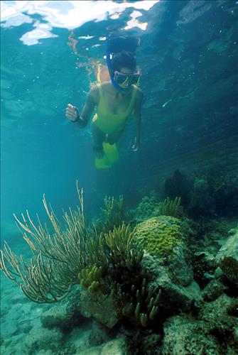A. Askins snorkeling near moat wall area of Fort Jefferson, Florida in 1993