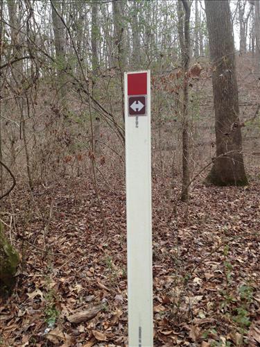 Trail Construction PLC Projects