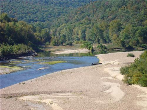 Feral Hog Damage At Big Creek and Sanders Field, Buffalo National River