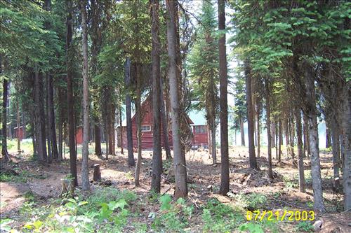 Hazardous fuels reduction around cabins during Wedge Fire, Glacier National Park