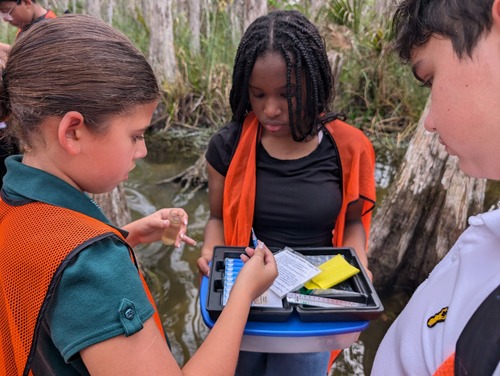 Checking dissolved oxygen