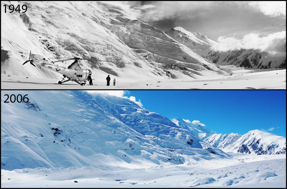 A photo pair showing Glacial Thinning and Retreat at Muldrow Glacier: 1949-2006