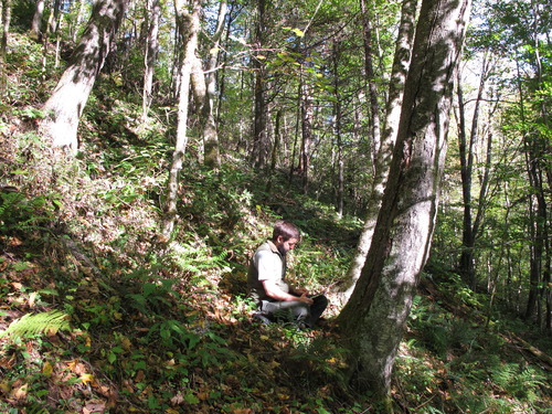 GRSM Accuracy Assessment. Plot Code: GRSM_AA_0207_2