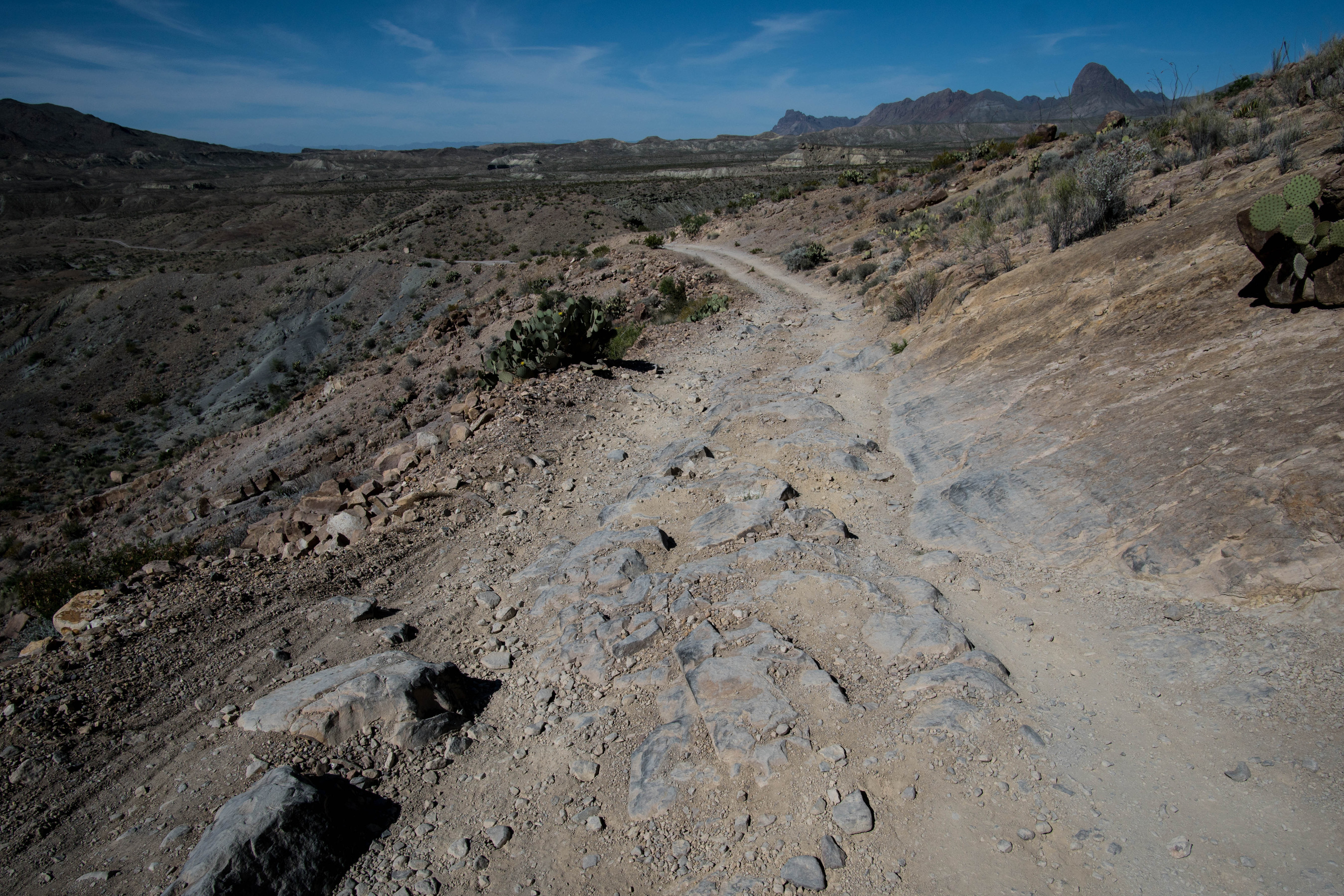 If you have a high-clearance, four wheel drive vehicle, Big Bend's primitive dirt roads provide many opportunities to get off the beaten path and explore the remote corners of this park