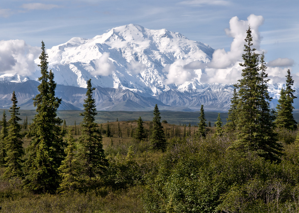 a large snowy mountain