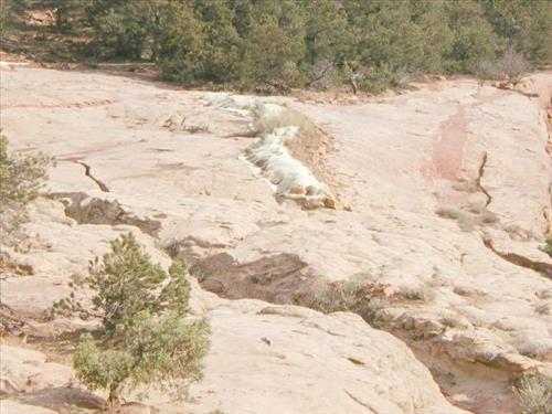 Erosion control mechanisms above cliff dwellings following the Long Mesa fire, Mesa Verde National Park