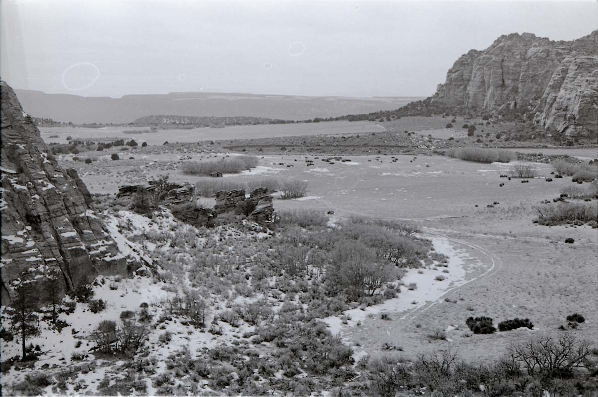 BW photo of the 1937 grazing study 35MM. Photo of Lee Valley.