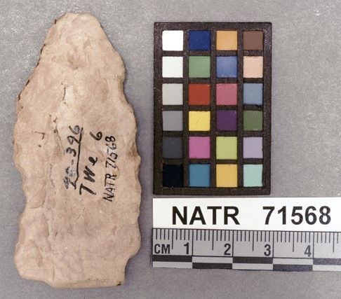 NATR   71568 -- Untyped projectile point