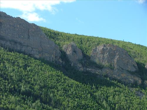 19 Yukon-Charley Rivers National Preserve Peregrine Falcon Survey July 2006