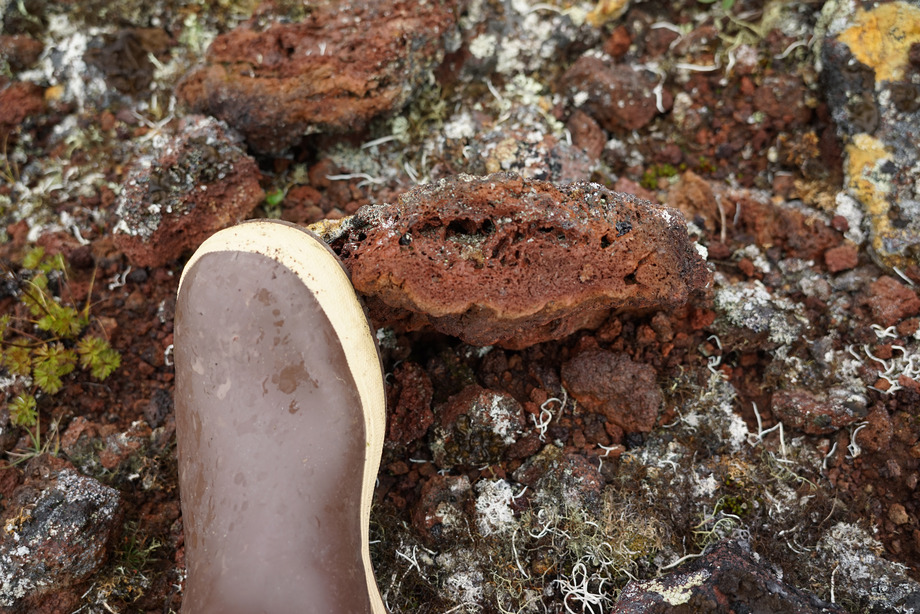 Photograph of scoria. The rock is red and full of small cavities, and looks somewhat like a sponge.