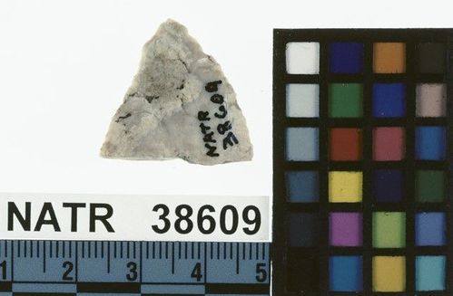 NATR   38609 -- Untyped projectile point