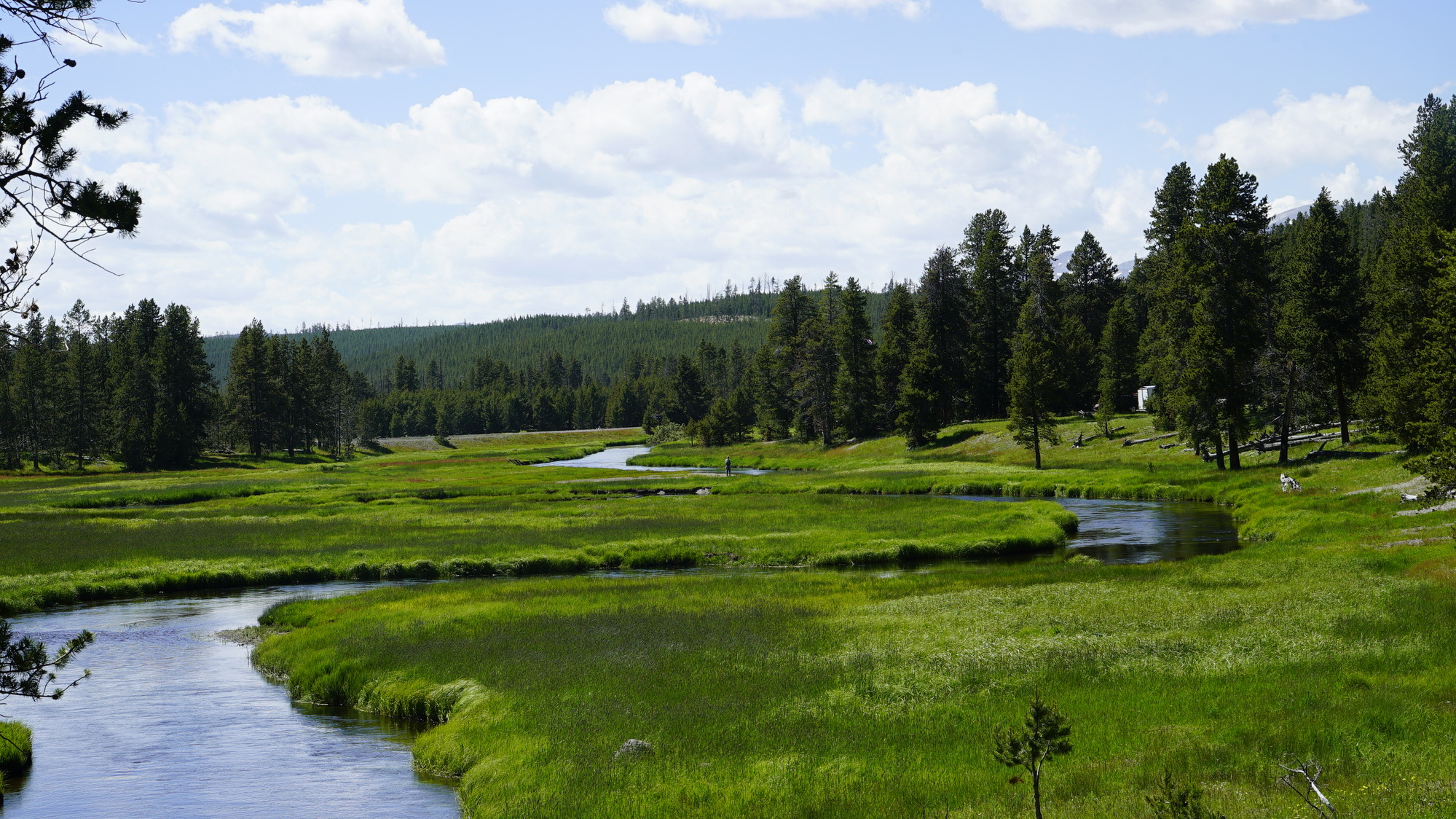 Slow moving water curves through a lush green environment 