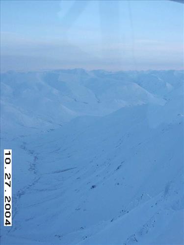 1 Gates of the Arctic National Park and Preserve Koyukuk Moose Survey 2004