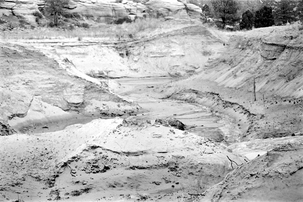 BW photo of the 1937 grazing study 35MM.