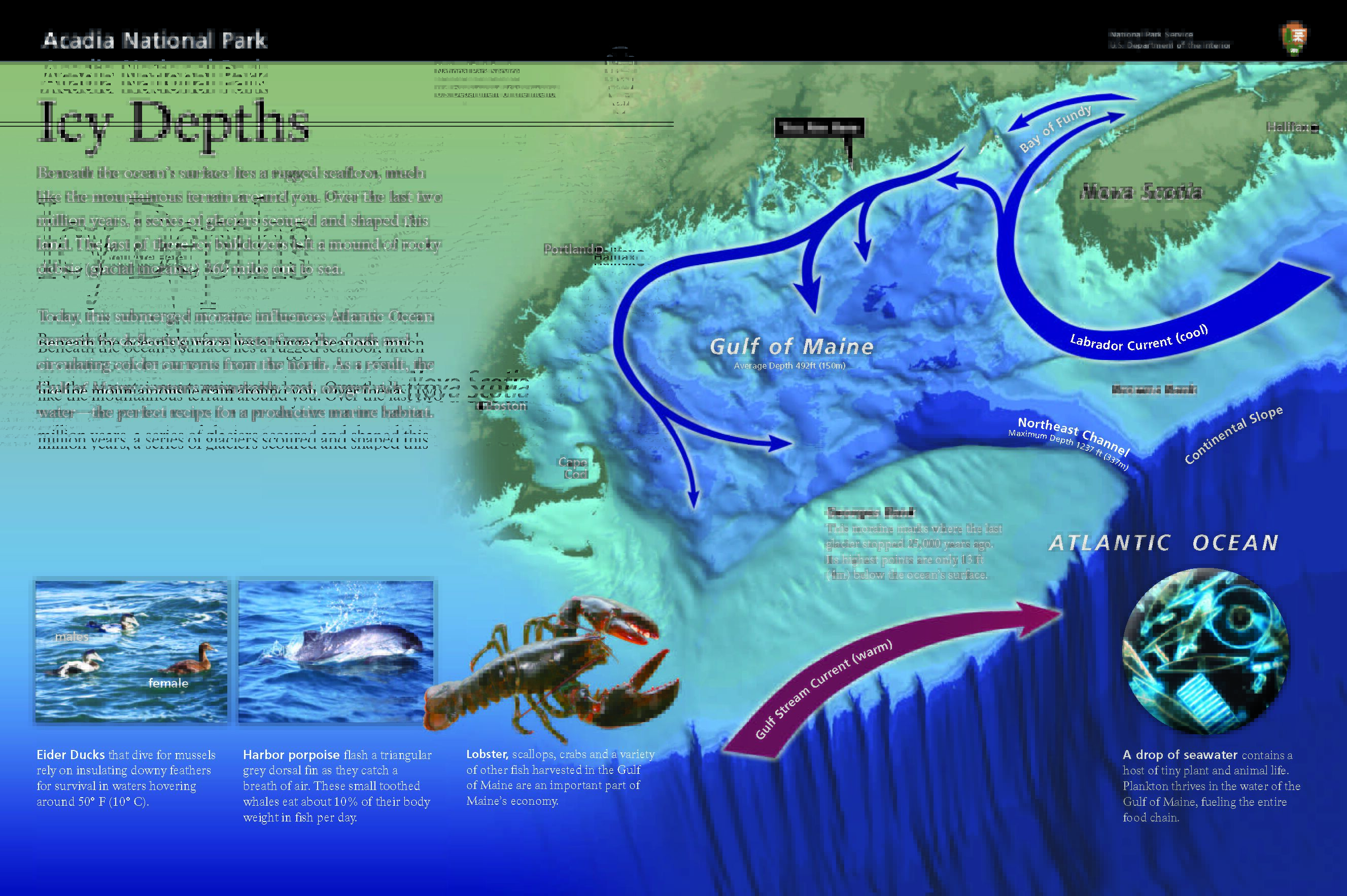 The sign's title appears over a relief map of the coastal waters stretching from Cape Cod to Nova Scotia. Shades of blue show depth ranging from light aqua in the shallows, to deep indigo along the continental slope's underwater cliffs.

An arrow points to a tiny peninsula along vast stretch of uneven coastline. "You Are Here." 

Introductory text reads: Beneath the ocean’s surface lies a rugged seafloor, much like the mountainous terrain around you. Over the last two million years, a series of glaciers scoured and shaped this land. The last of these icy bulldozers left a mound of rocky debris (called glacial moraine) 360 miles out to sea.