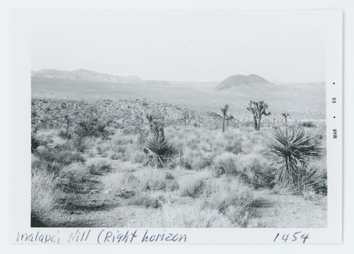 Black and white image looking north towards Malapai Hill