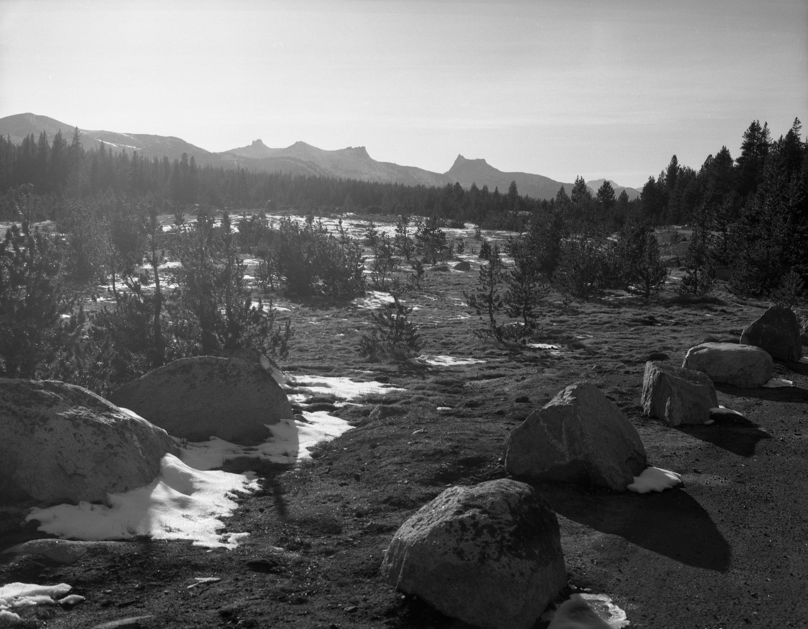 Cathedral Range; Tioga Road below Dana Meadows; Auto tour, to serve as basis for line drawing. Not as a photographic illustration