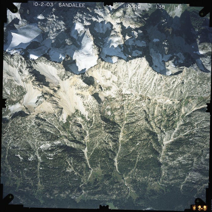 Color aerial photograph of glacier and snowfields on mountain peak with forested valleys below.