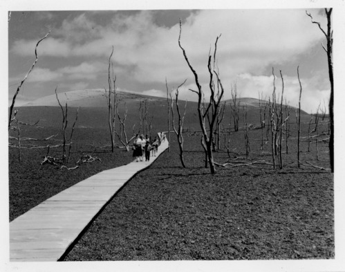 People walk on a wooden boardwalk through cooled volcanic cinder and dead trees