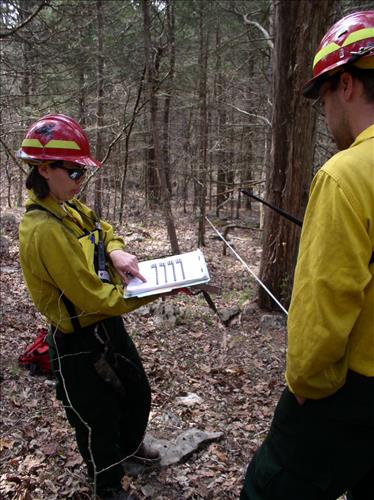 Fire effects monitoring on Jim Lee Prescribed burn, Mammoth Cave National Park, 2004