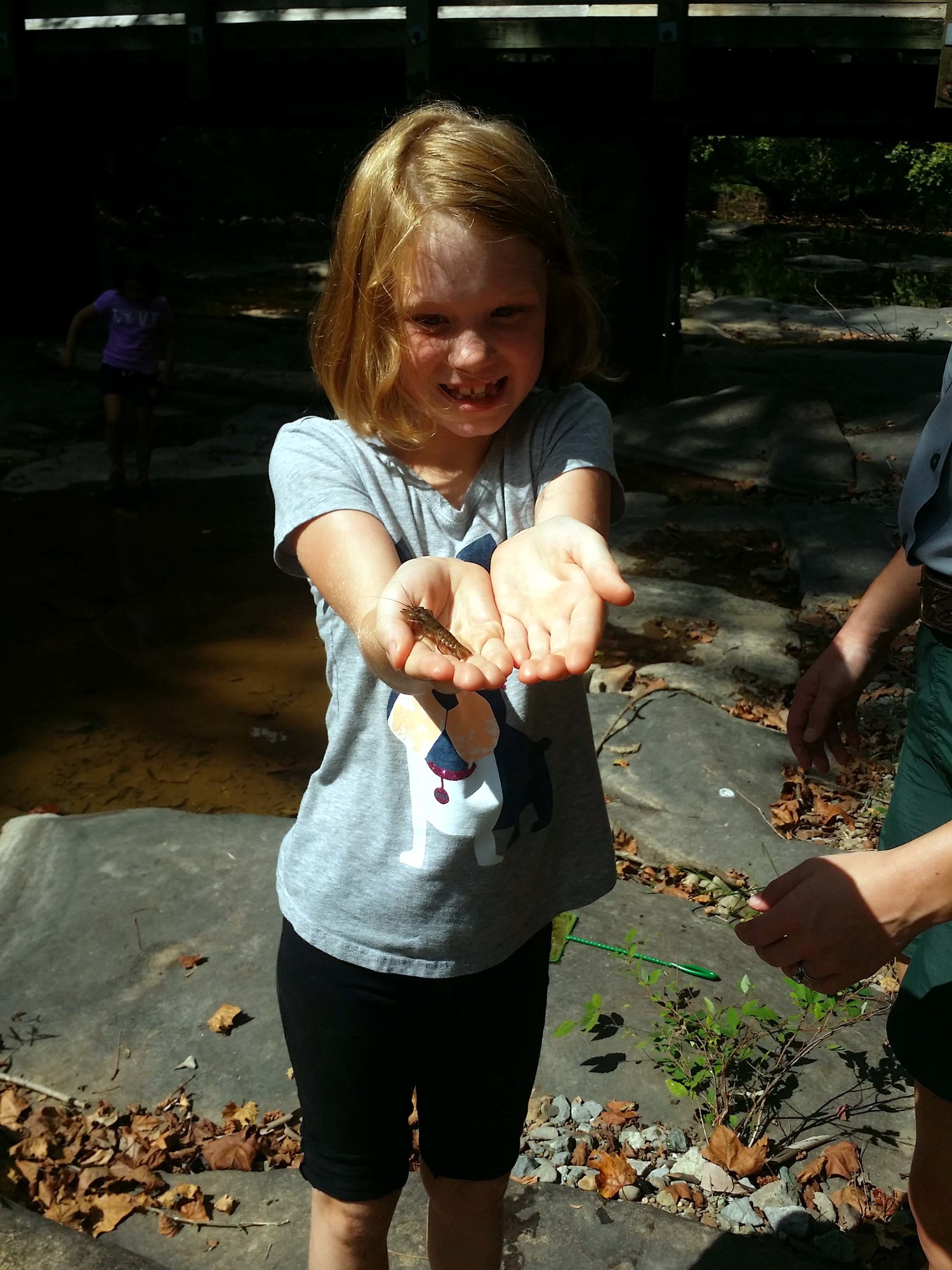 girl holing an insect 
