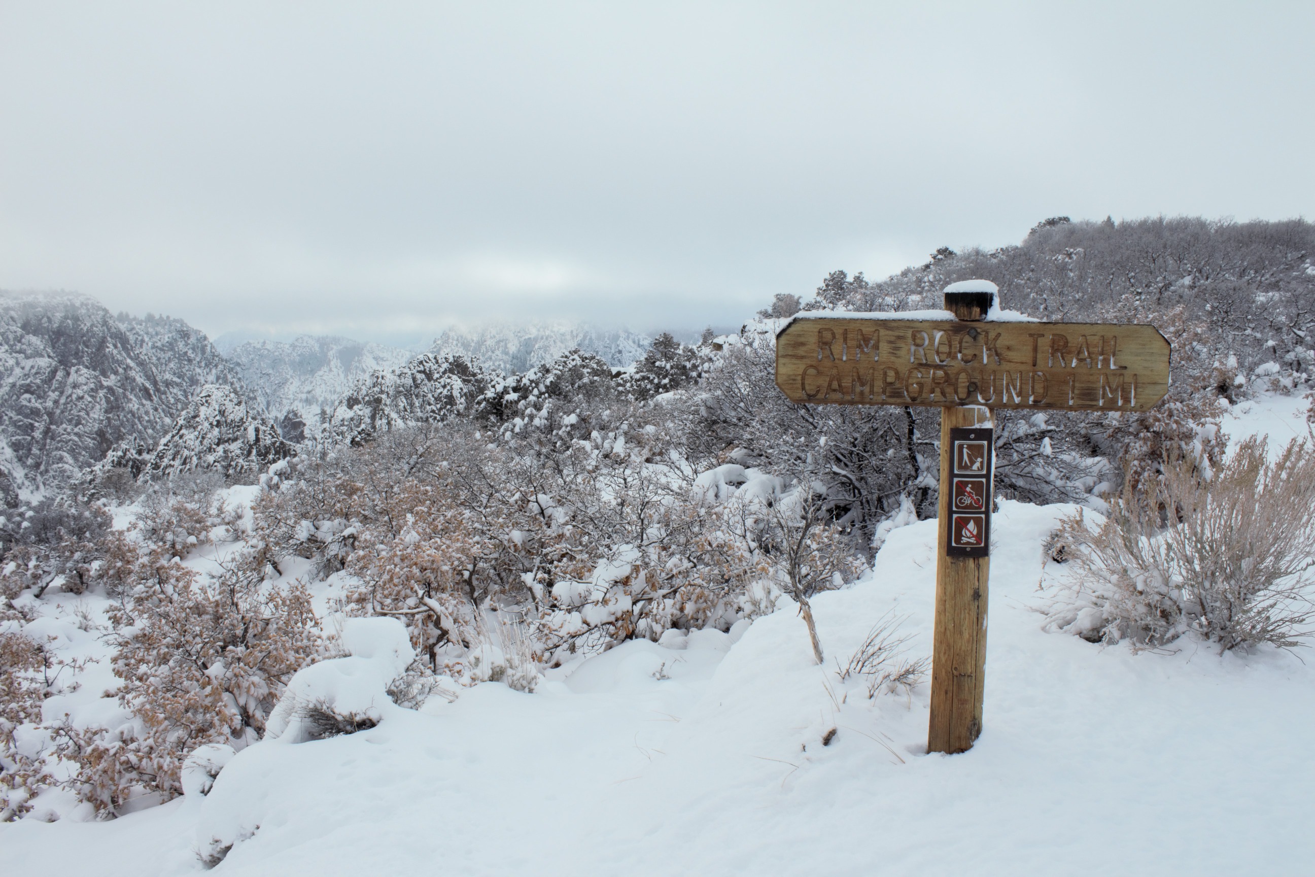 A snow-covered trail with a wooden trail sign