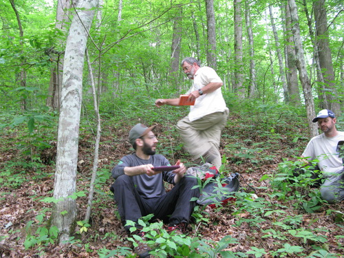 GRSM Accuracy Assessment. Plot Code: GRSM_AA_0725_3