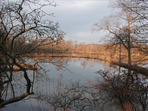 KEAQ YPP 2009 PMIS154684 Kenilworth Aquatic Gardens - SCA Conservation Crew