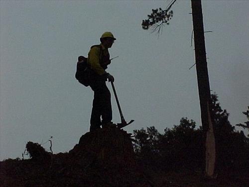 Prescribed fire for fuels reduction, 2002, Zion National Park