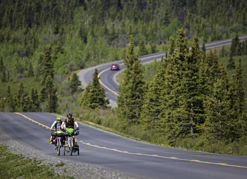two people cycling on a windy paved road in a forest