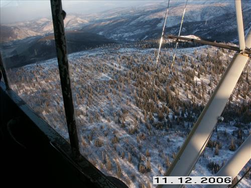 1 Yukon-Charley Rivers National Preserve Moose Survey November 2006