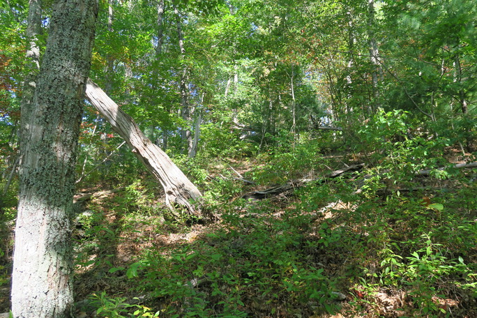 GRSM Accuracy Assessment. Plot Code: GRSM_AA_0968_6