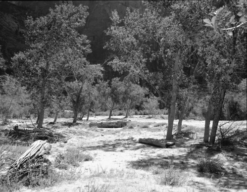 Habitat record in Oak Creek.