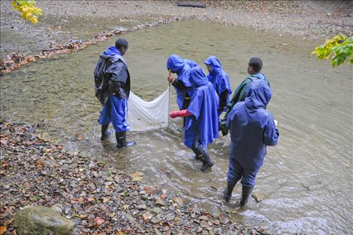 Cuyahoga Valley Environmental Education Center, Chippewa Creek Water Testing1