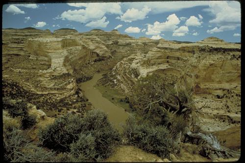 Rivers and canyon scenes at Dinosaur National Monument, Colorado and Utah