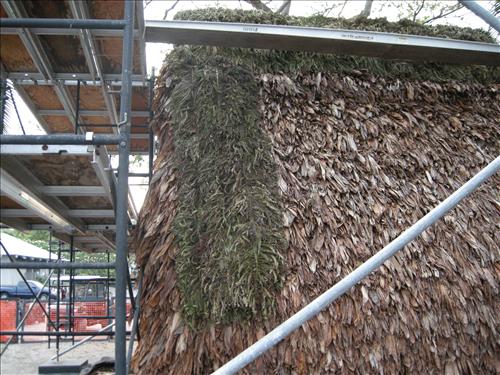 Rebuild Hale o Keawe Scale Model at Pu'uhonua o Honaunau National Historical Park in Spring 2010