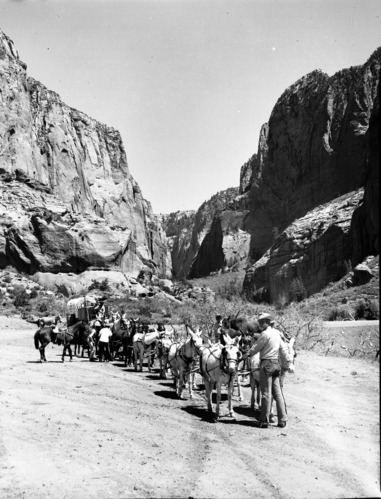 Jean DeHaven and men standing with 20-mule team and wagon on Taylor Creek Road. Group en route from Death Valley to Wessington, South Dakota. Trip taken in commemoration of the National Park Service's 50th Anniversary.