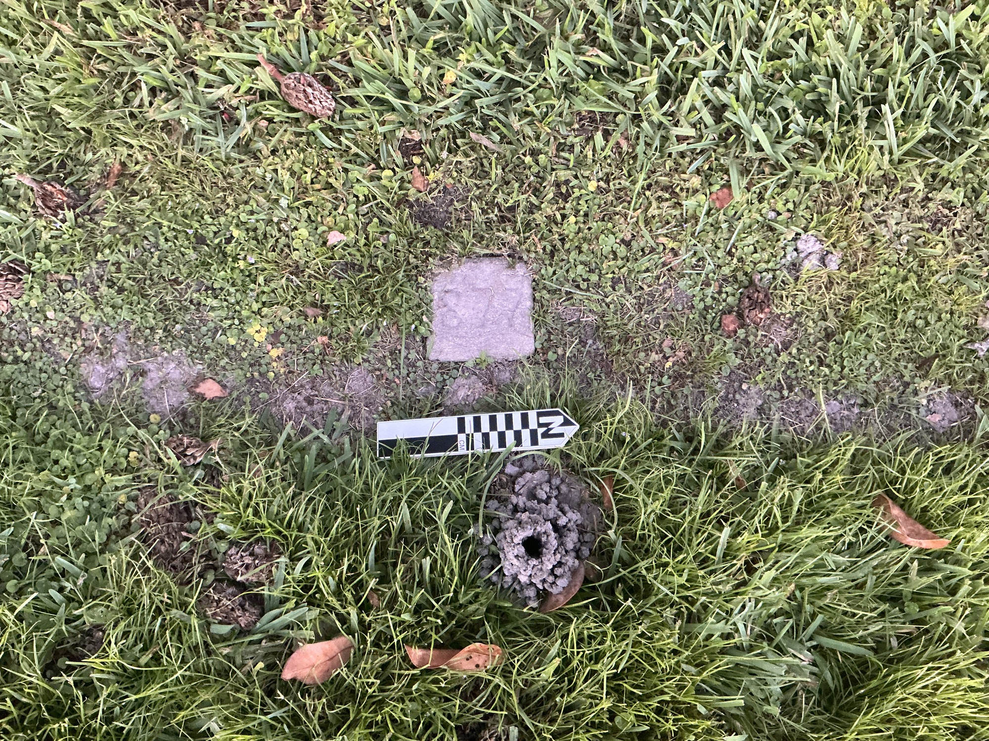 Extra image of flat marble marker