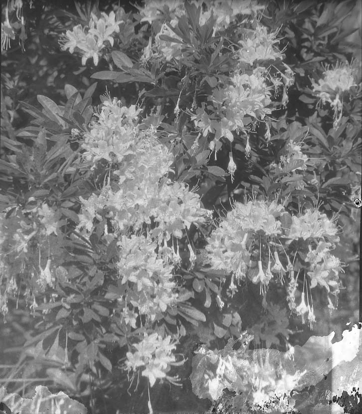 Yosemite National Park