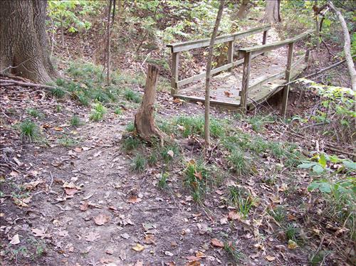 FOWA-Existing Conditions at Fort Washington Park, October 15, 2008