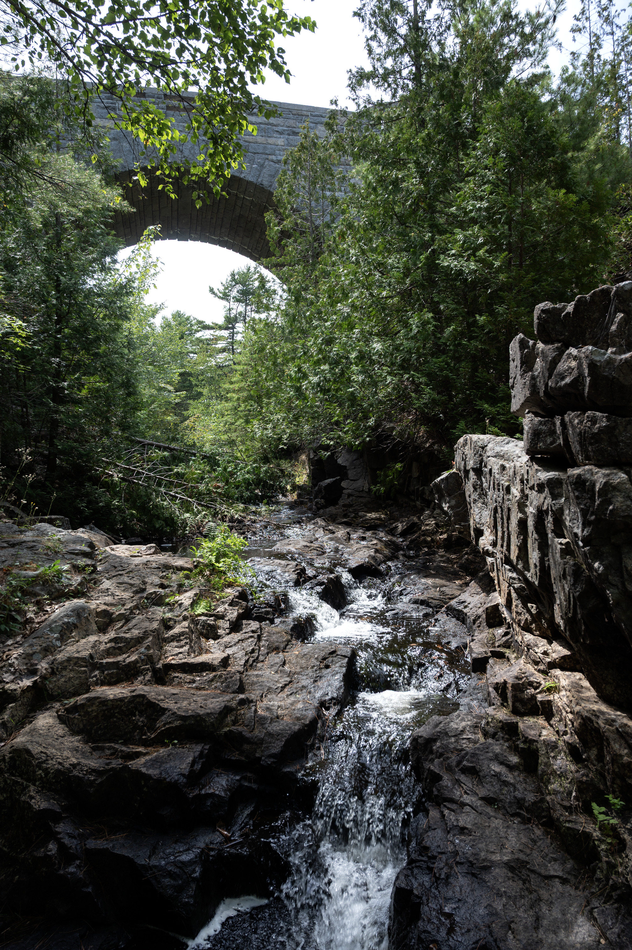 A stone bridge towers over a running brook.