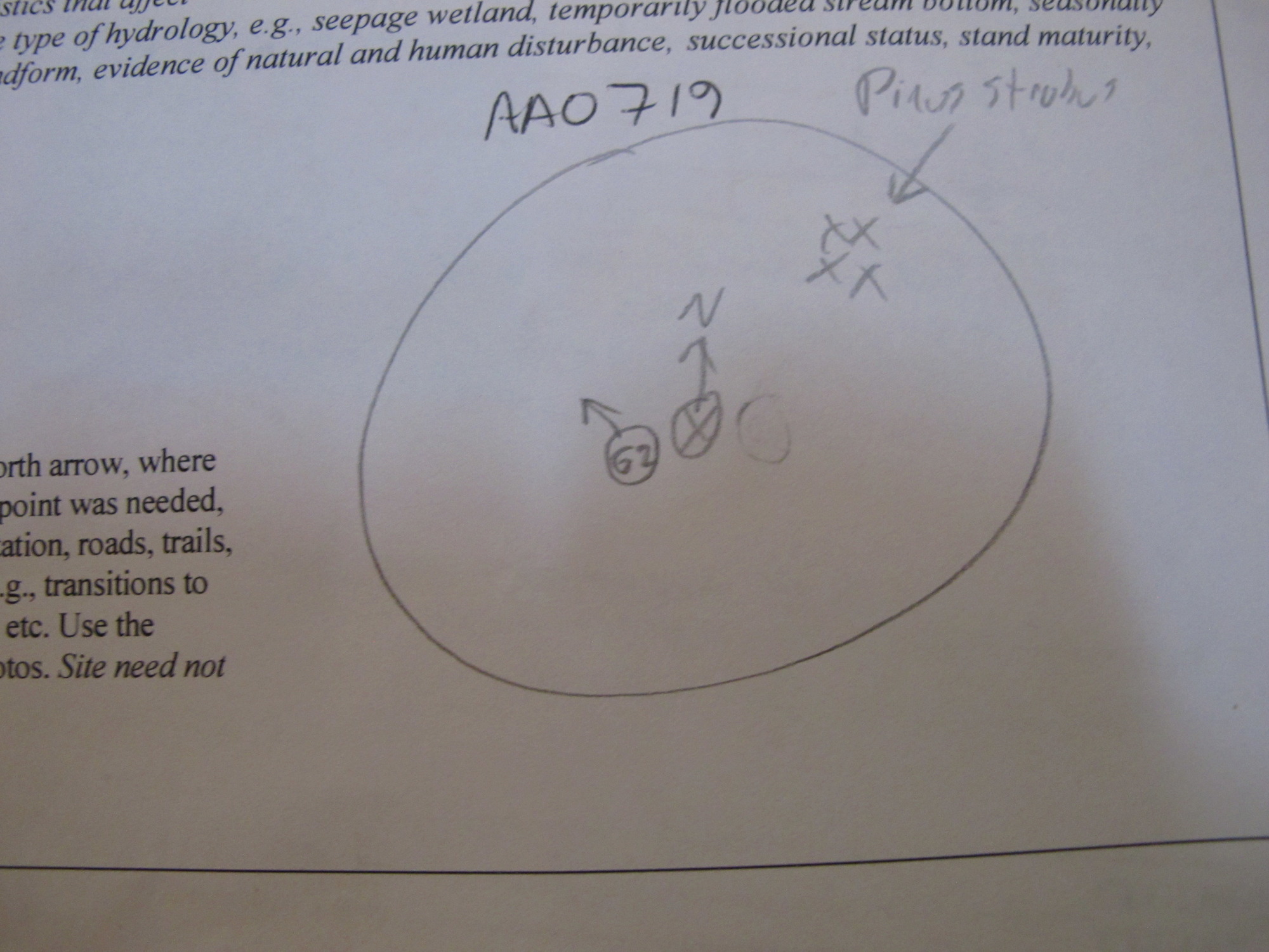 GRSM Accuracy Assessment. Plot Code: GRSM_AA_0719_7