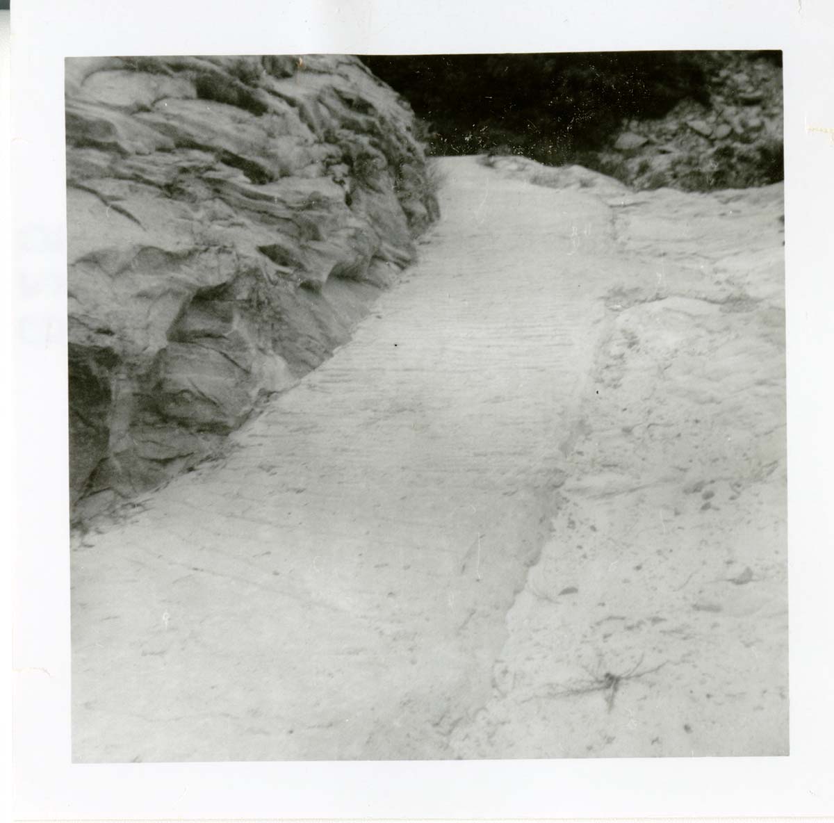 General view of the East Rim trail.