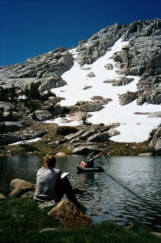 Mountain yellow-legged frog restoration project, Sequoia and Kings Canyon National Parks, 2001-2003