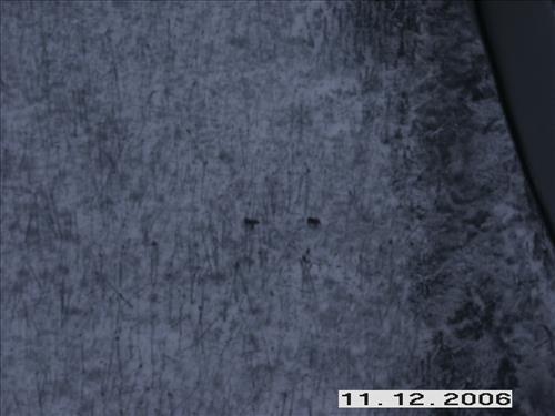 1 Yukon-Charley Rivers National Preserve Moose Survey November 2006