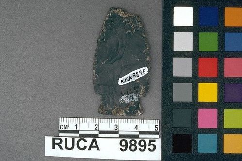 RUCA    9895 -- Point, Projectile