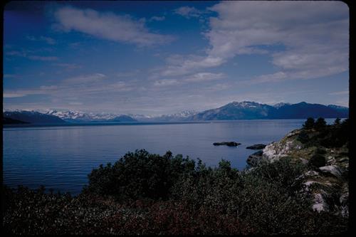 Views of Glacier Bay National Park and Preserve, Alaska