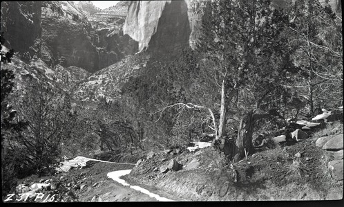 Birch Creek trail, Court of the Patriarchs in background.