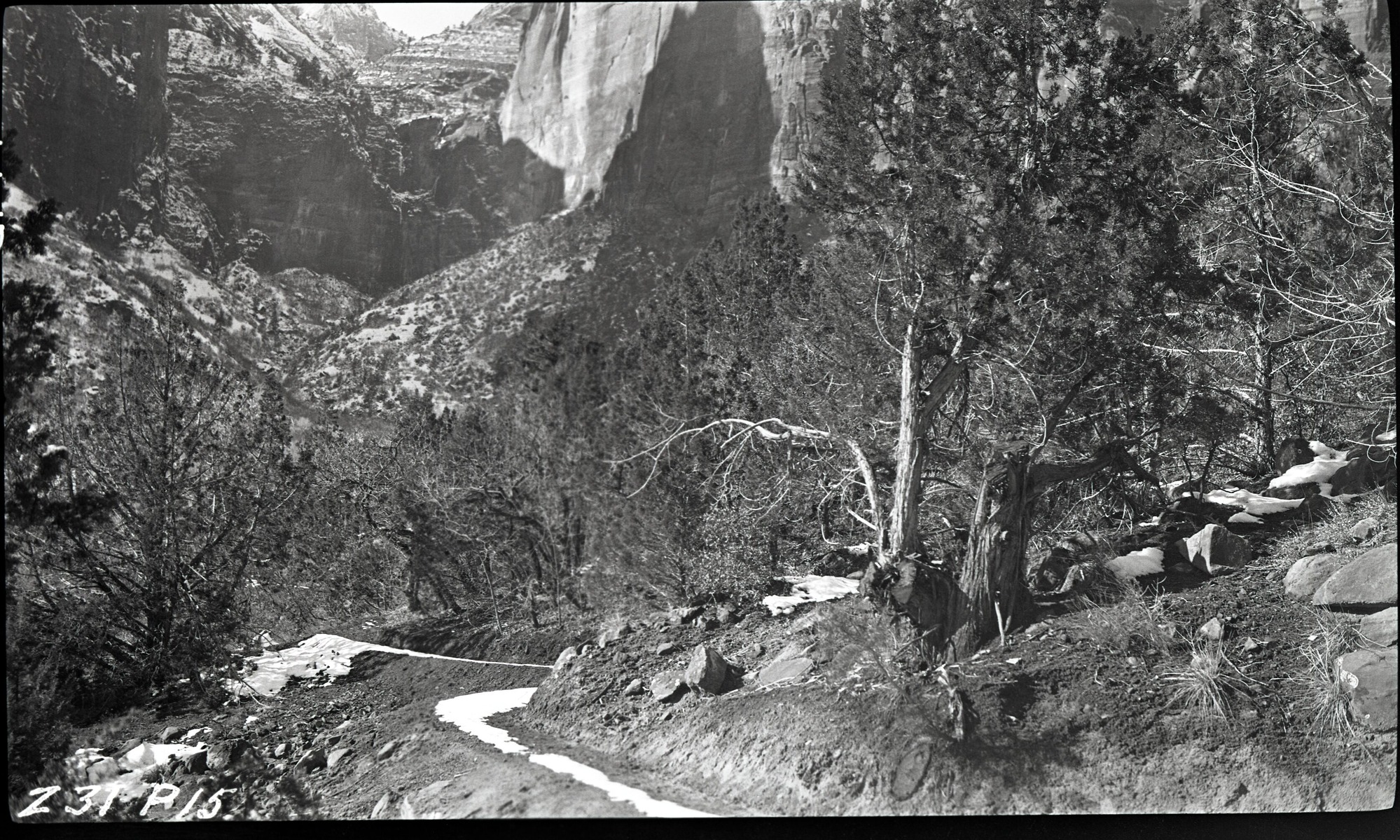 Birch Creek trail, Court of the Patriarchs in background.