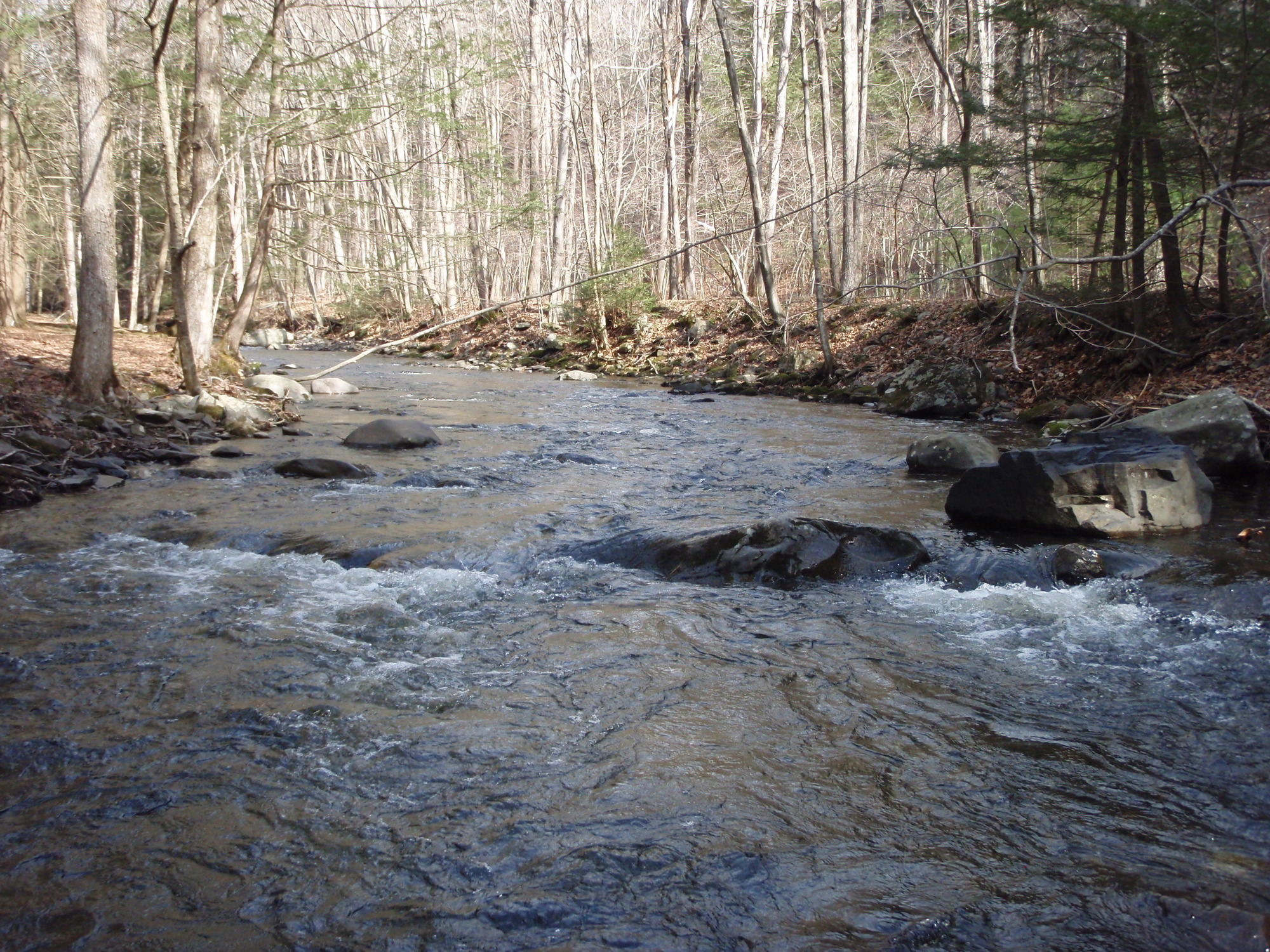 Site visit photo showing the upstream (UP) or downstream (DN) view of a wadeable stream reach taken during benthic macroinvertebrate monitoring at Delaware Water Gap National Recreation Area.